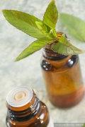 How to preserve peppermint oil